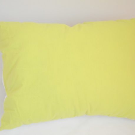 Couleur vert anis du coussin décoratif brodé d'une licorne féerique