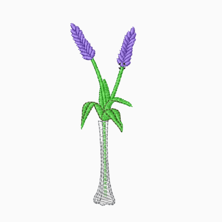 Borderie de lavande dans un vase.  