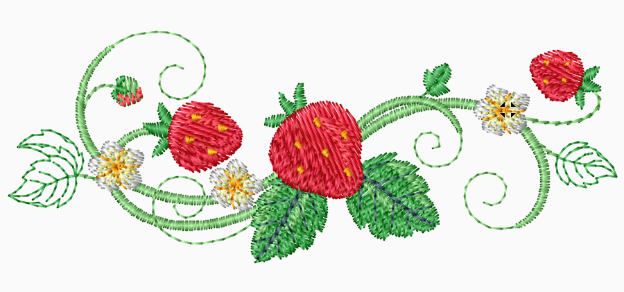 bordure-fruits-fraises